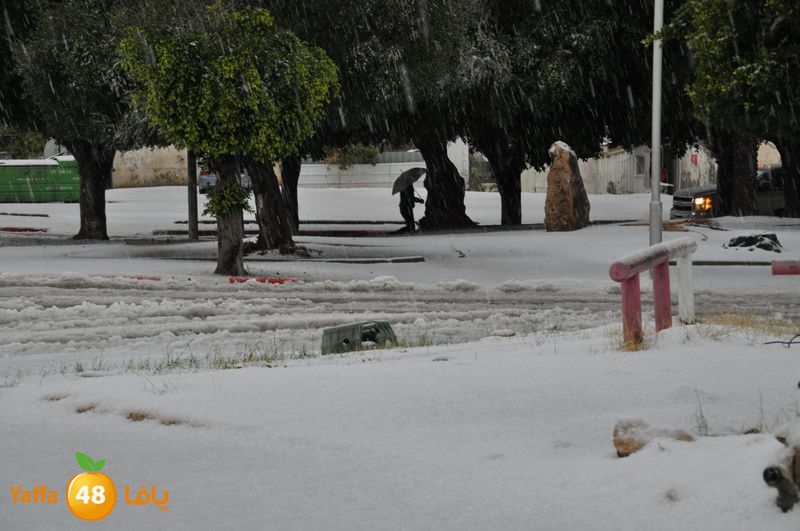 iceman lud 1213 (57).JPG